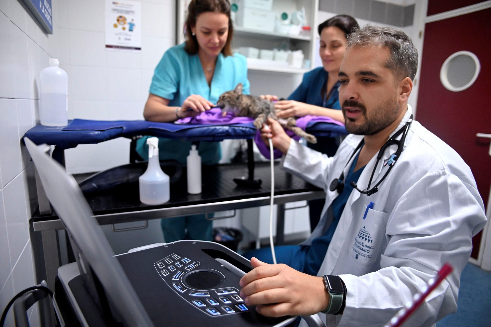 El Hospital Veterinario de la Universidad de Córdoba, en imágenes