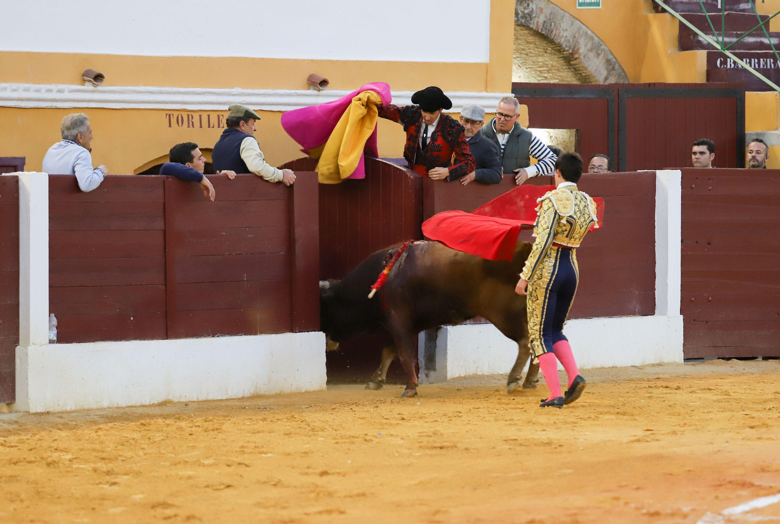 Imágenes de la novillada previa a la Semana Santa en la plaza de toros de La Línea