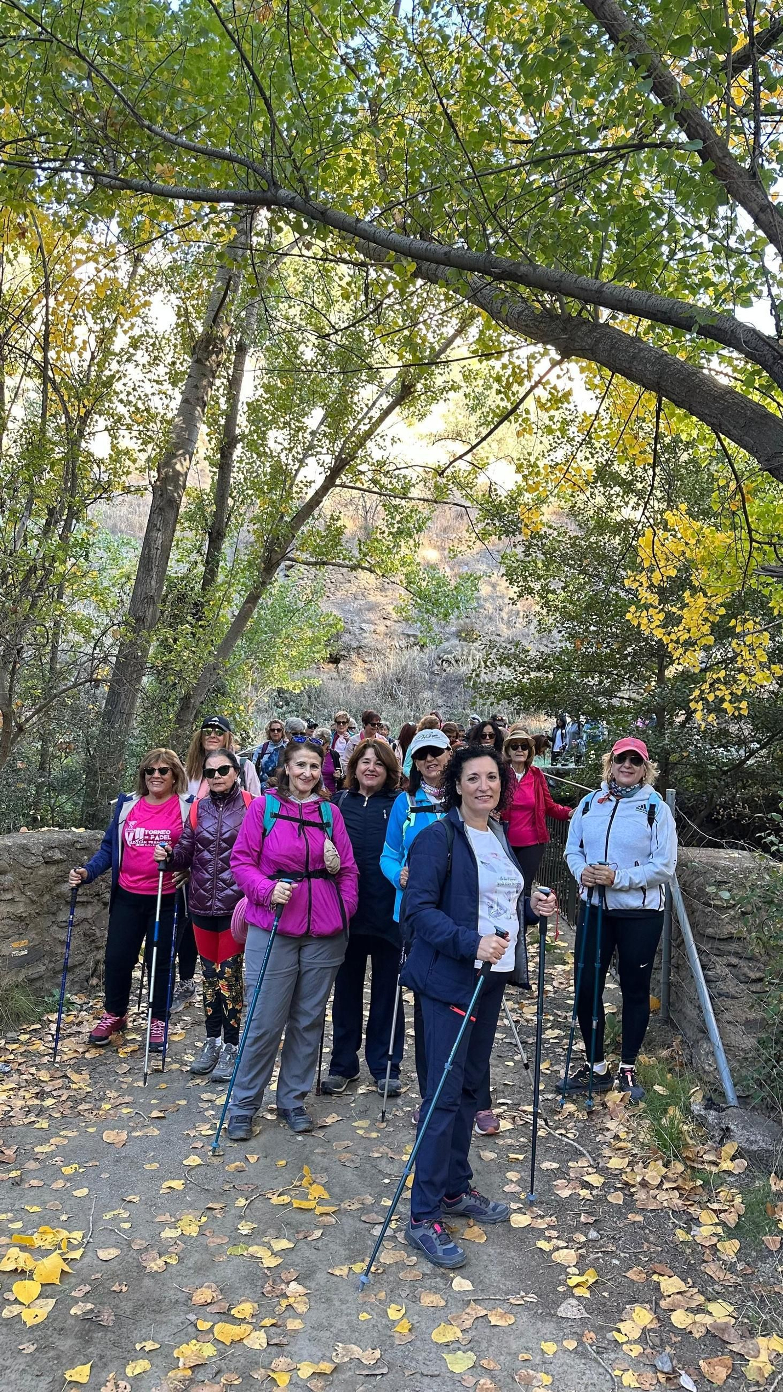 Así fue la caminata de estos vecinos de Guadix por el Castañar de Jérez del Marquesado