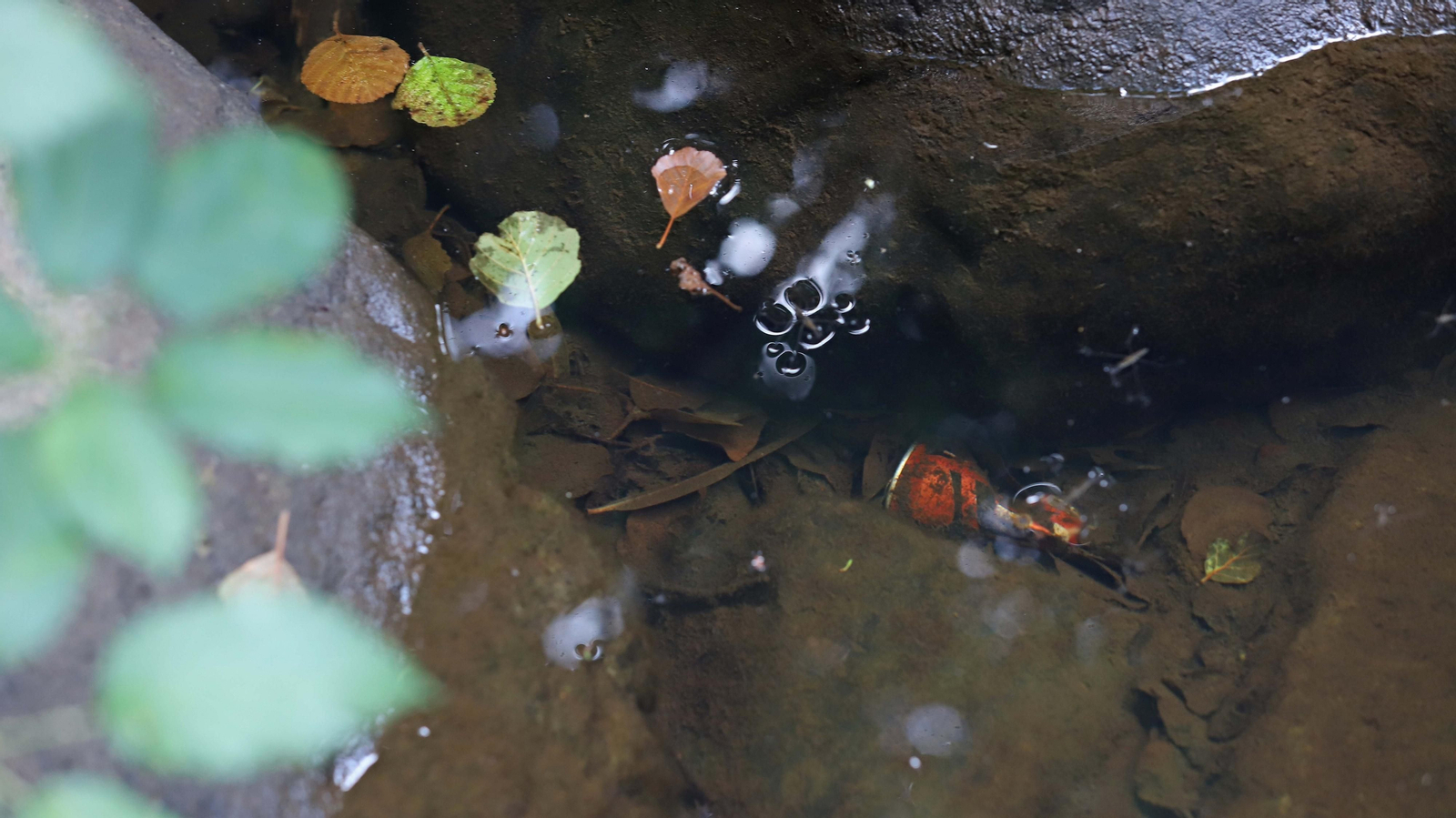 Basura en el sendero del Río de la Miel