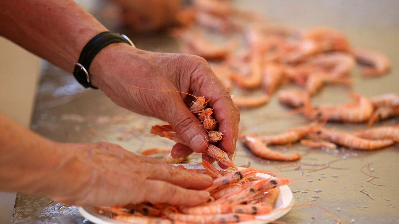 6 platos con sabor a Huelva