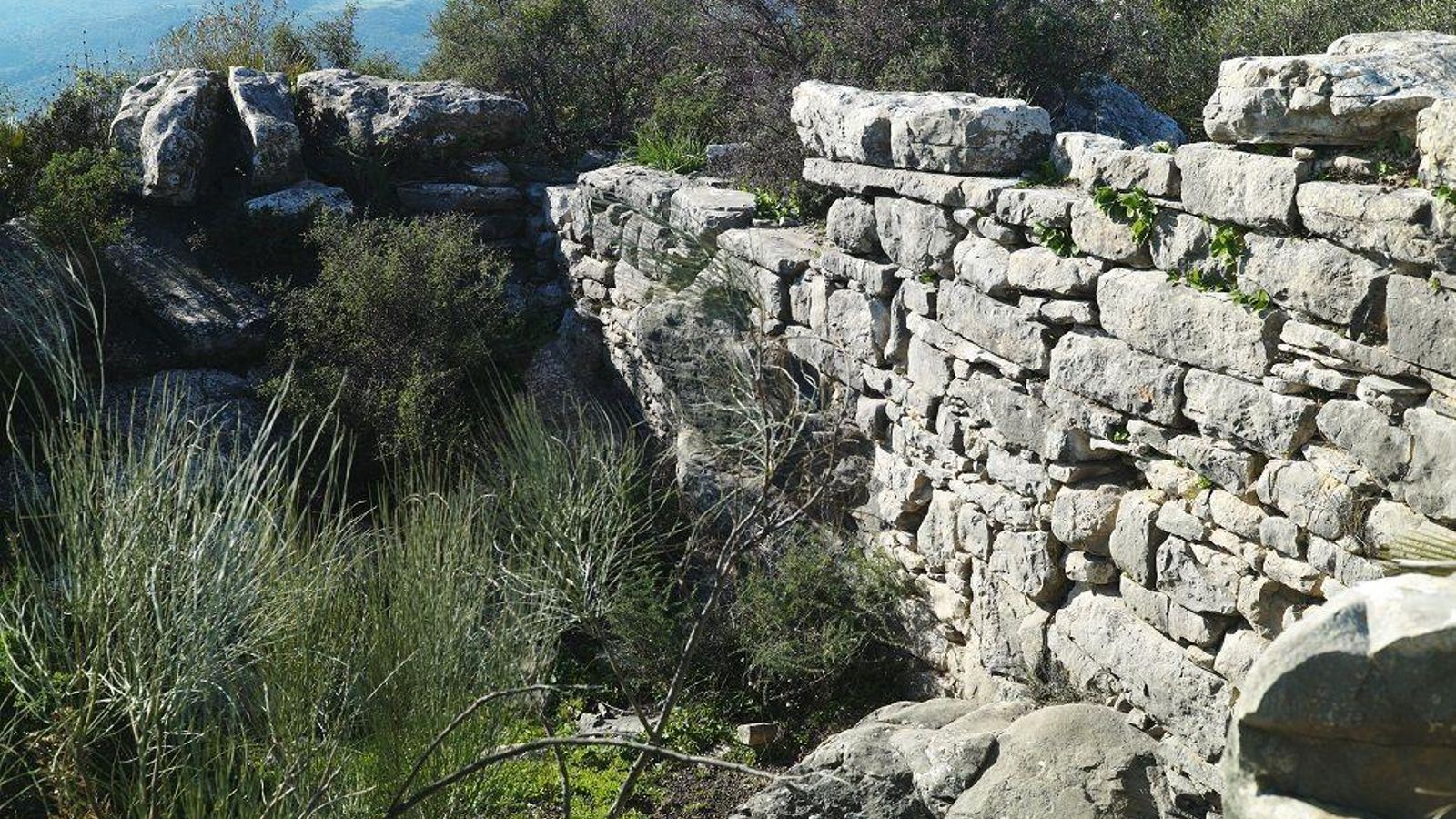 Vista de parte del yacimiento de Lacipo. Vista de parte del yacimiento de Lacipo.
