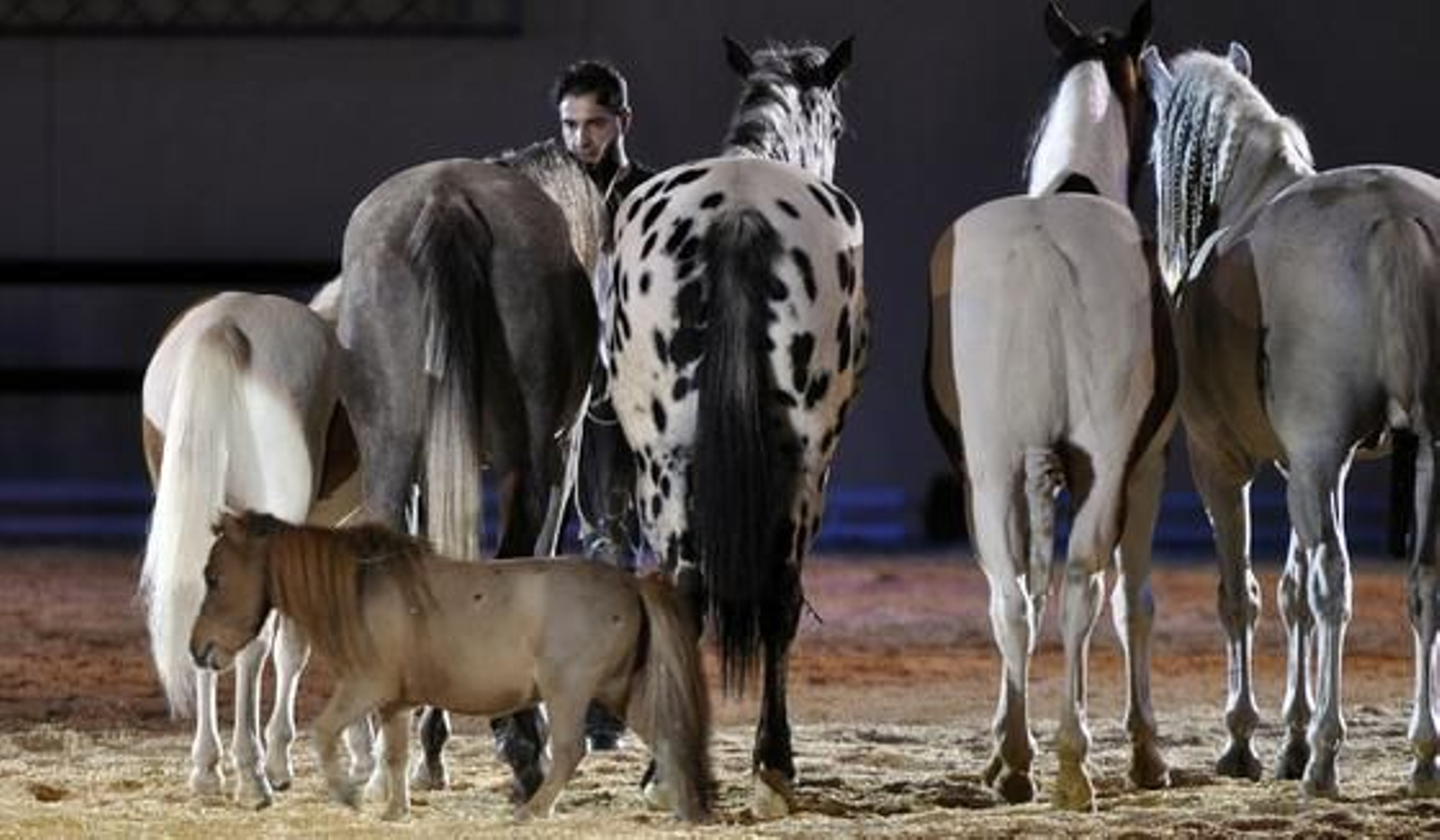 Preparativos y ensayo general del Sicab en Fibes. /Manuel Gómez