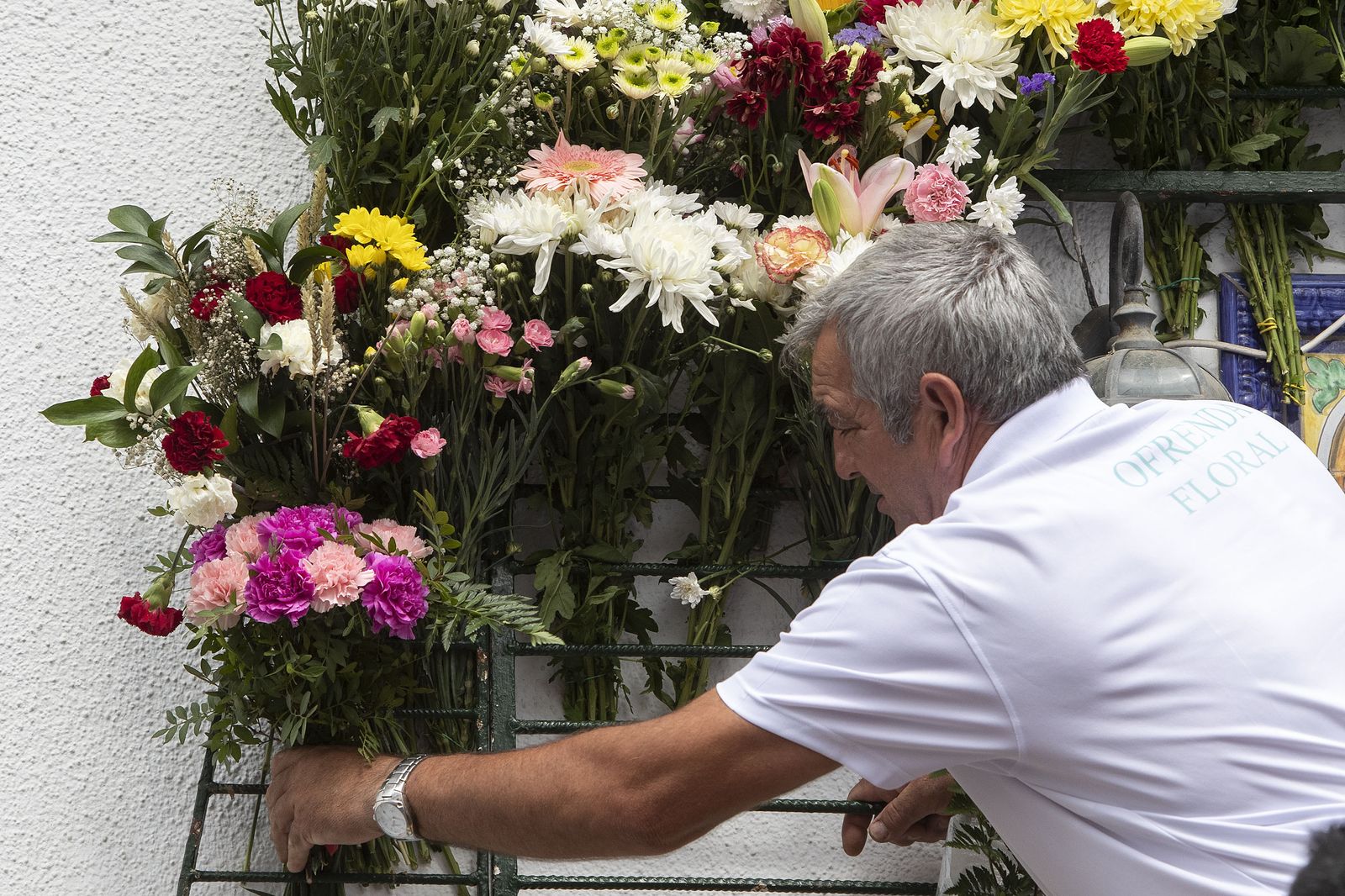 Imágenes de la ofrenda floral a la Patrona