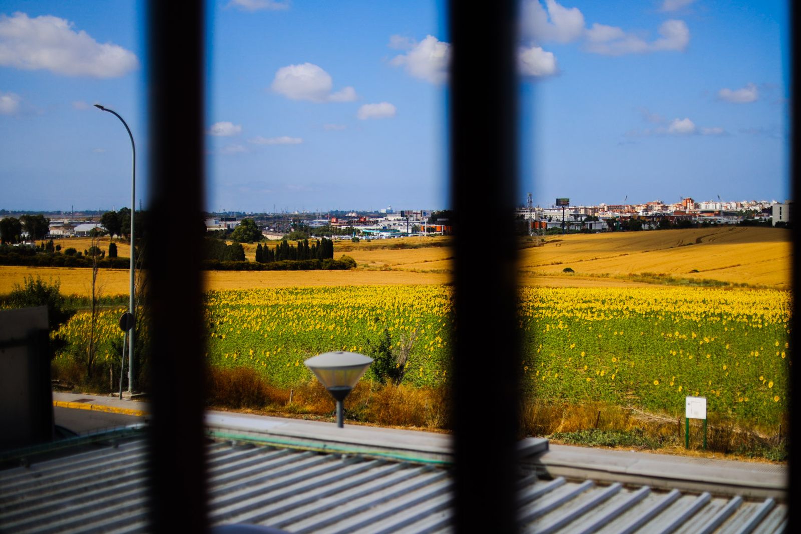 Imágenes del miércoles 25 de junio en Huelva