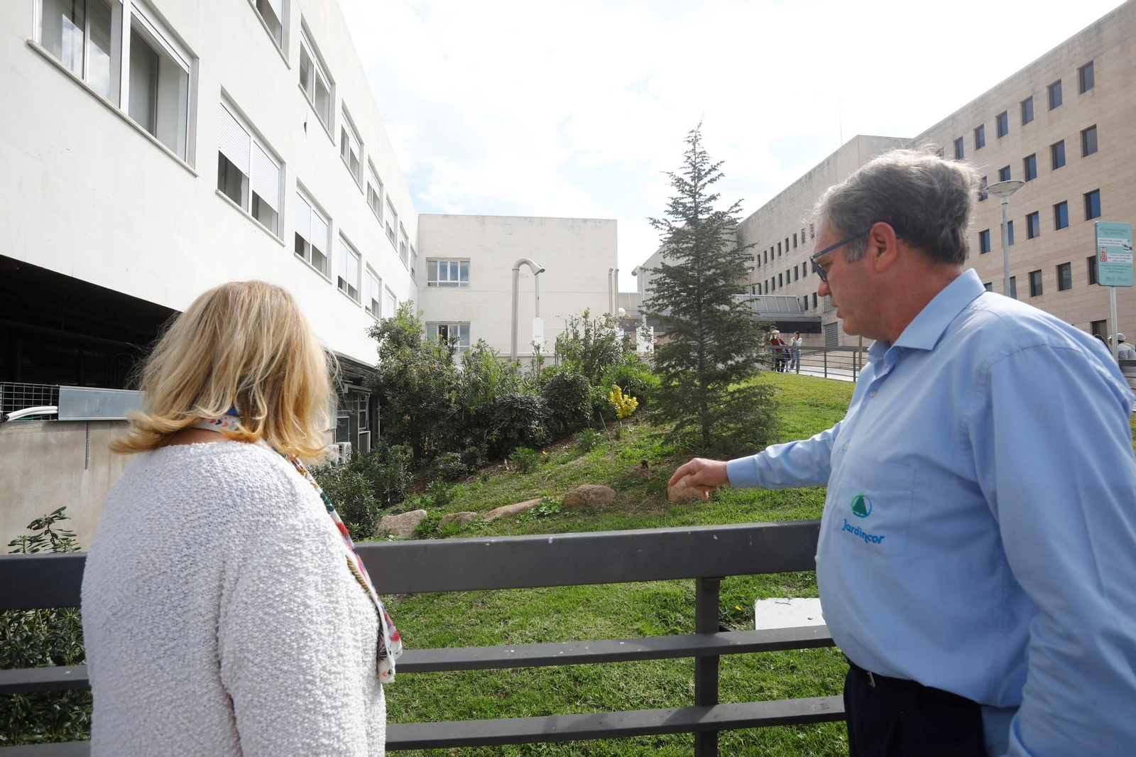 Las zonas verdes repobladas del Hospital Reina Sofía de Córdoba, en imágenes