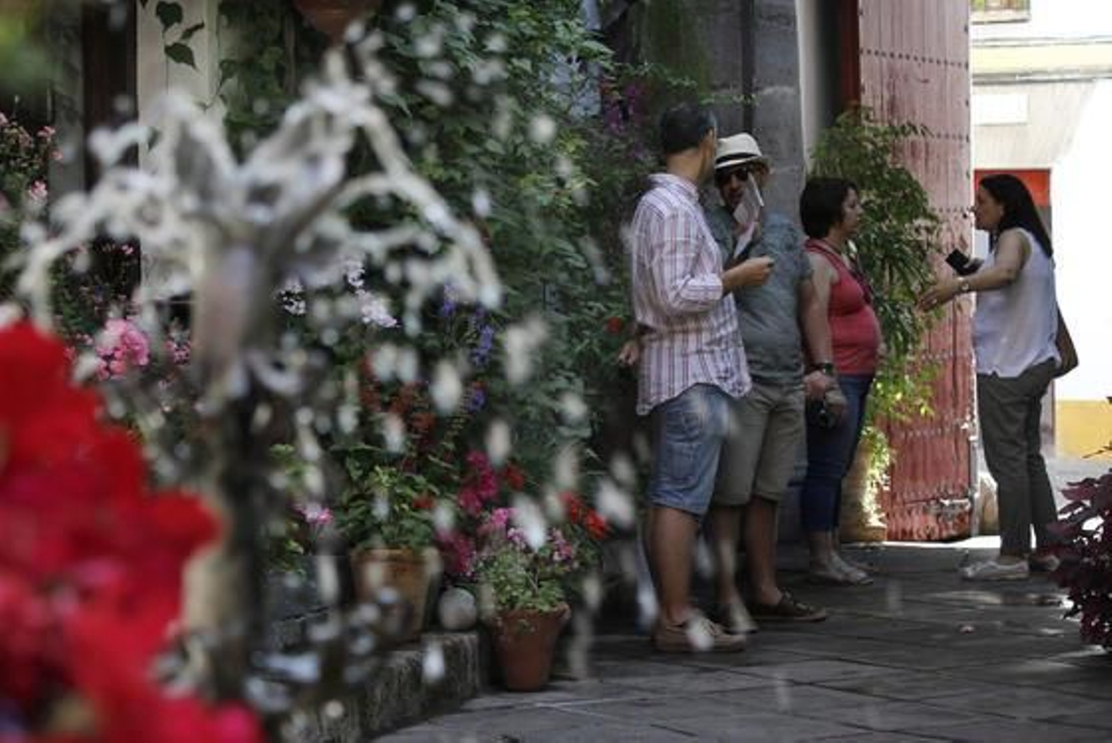 La Palma 3.

Foto: Alex Gallegos / Macarena Gassin