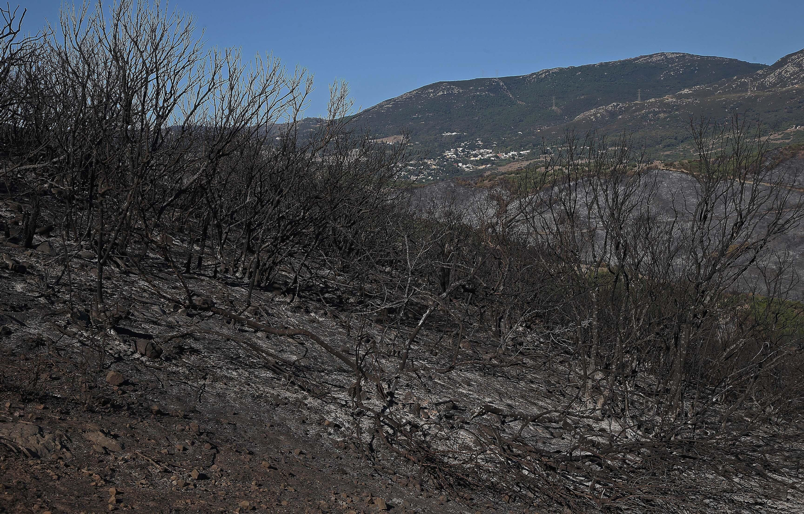 El impacto del incendio forestal de Algeciras, en imágenes