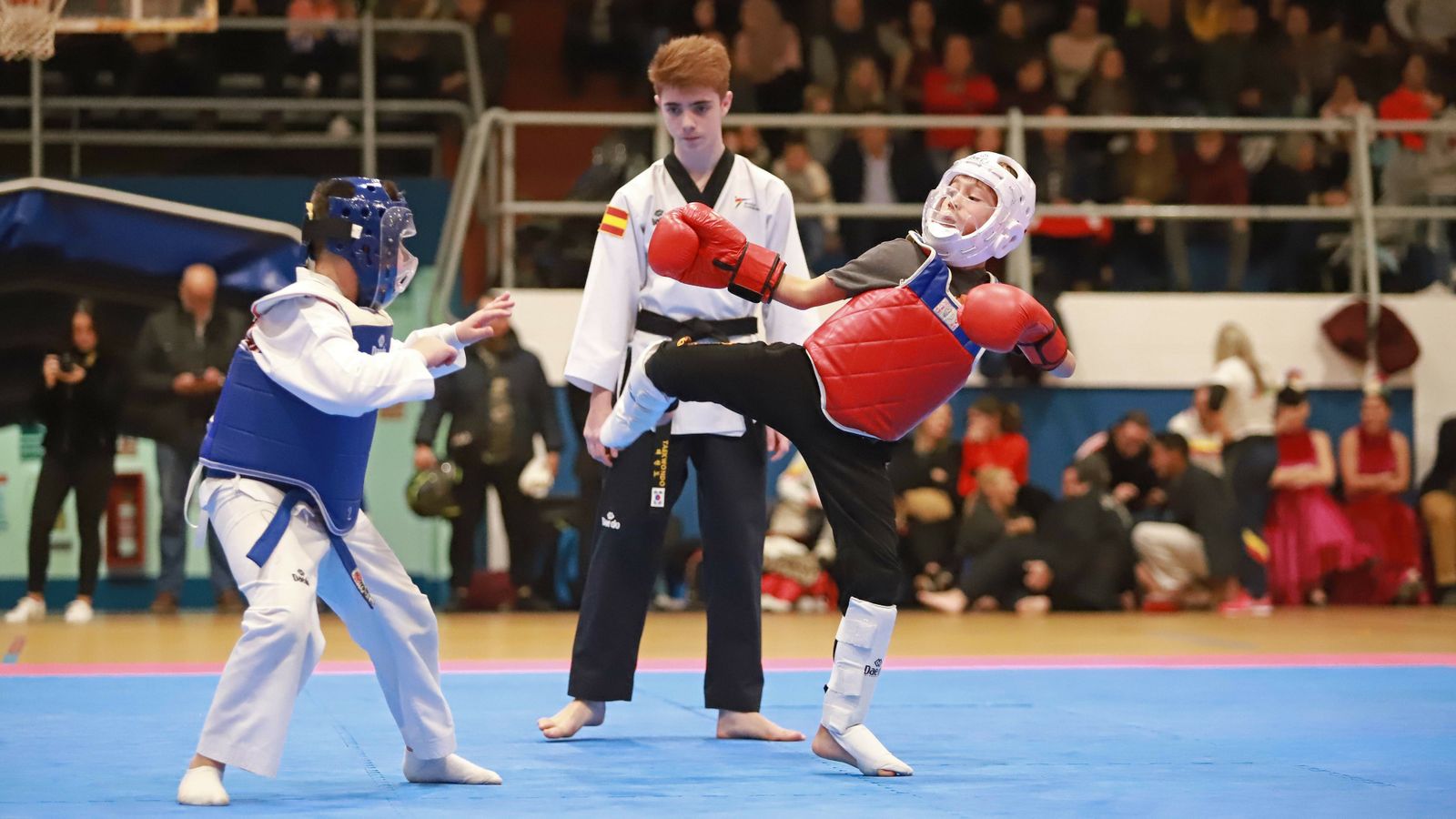 Las mejores fotos de la exhibición de Seul Gym en La Línea