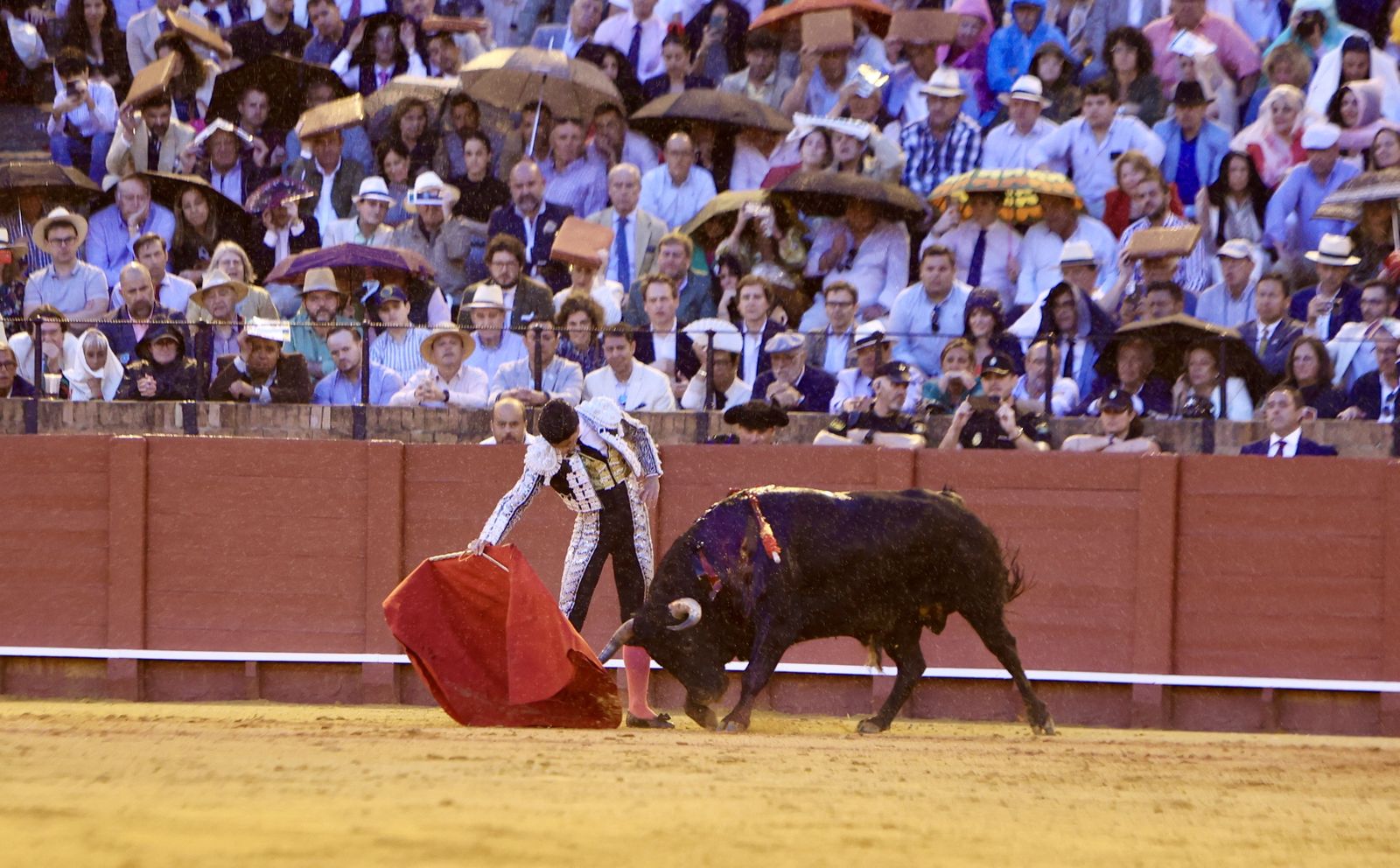 Las mejores imágenes de la corrida de toros de Juan Ortega, Roca Rey y Pablo Aguado