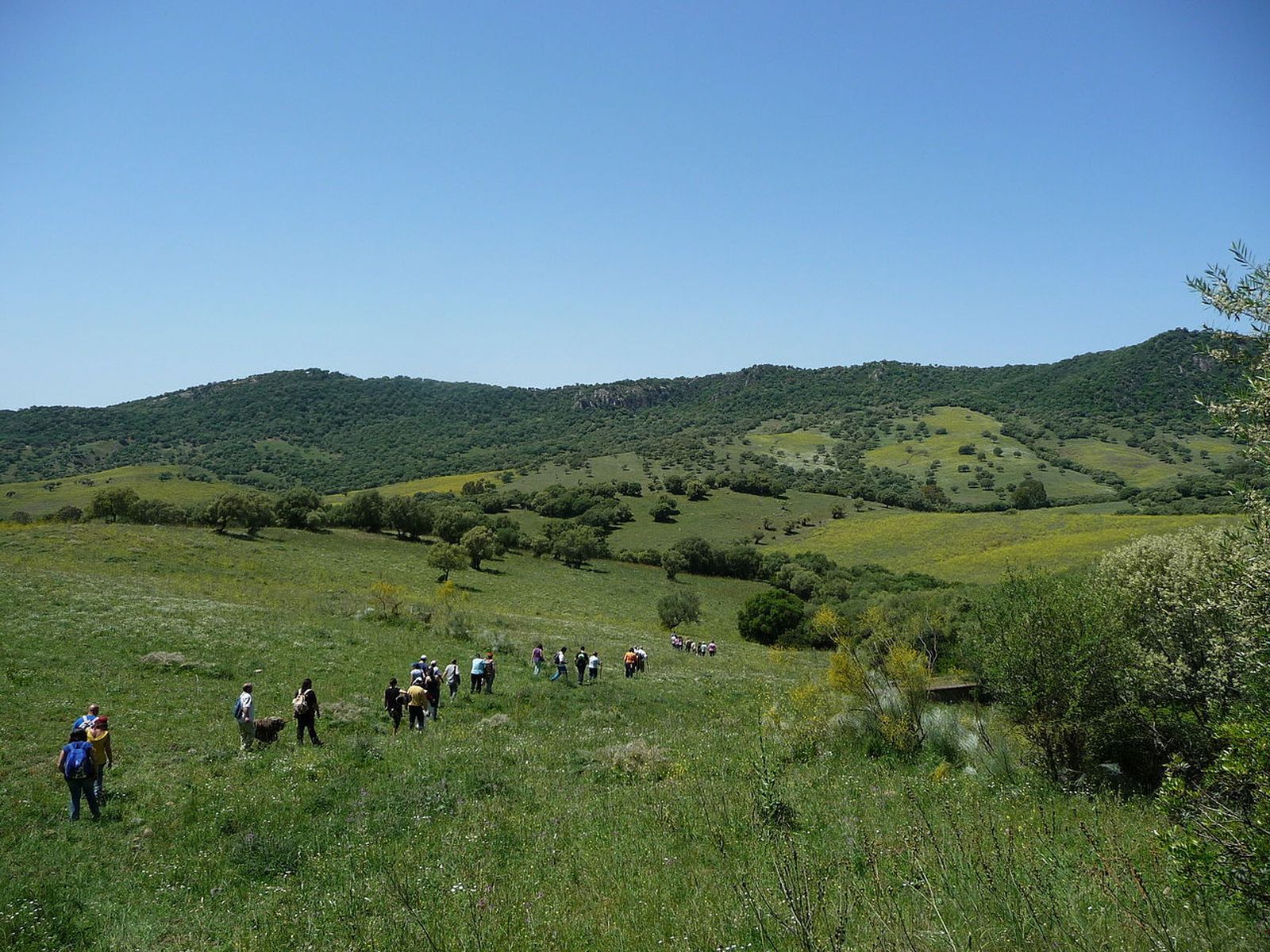 Los Montes de Propios