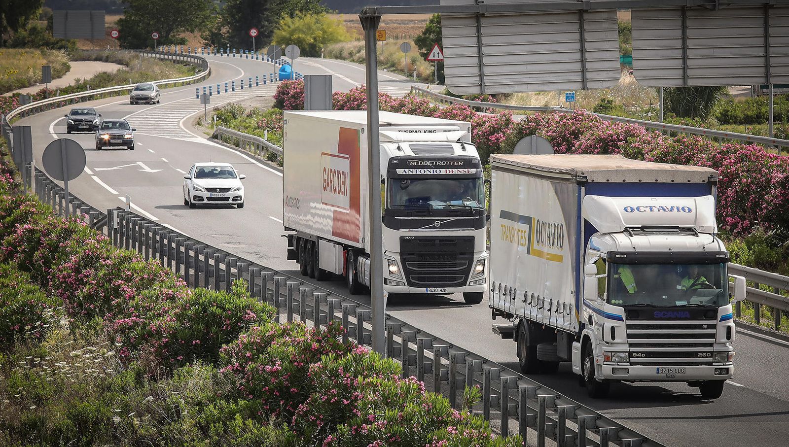 Coronavirus, imágenes del lunes 8 de junio en Jerez