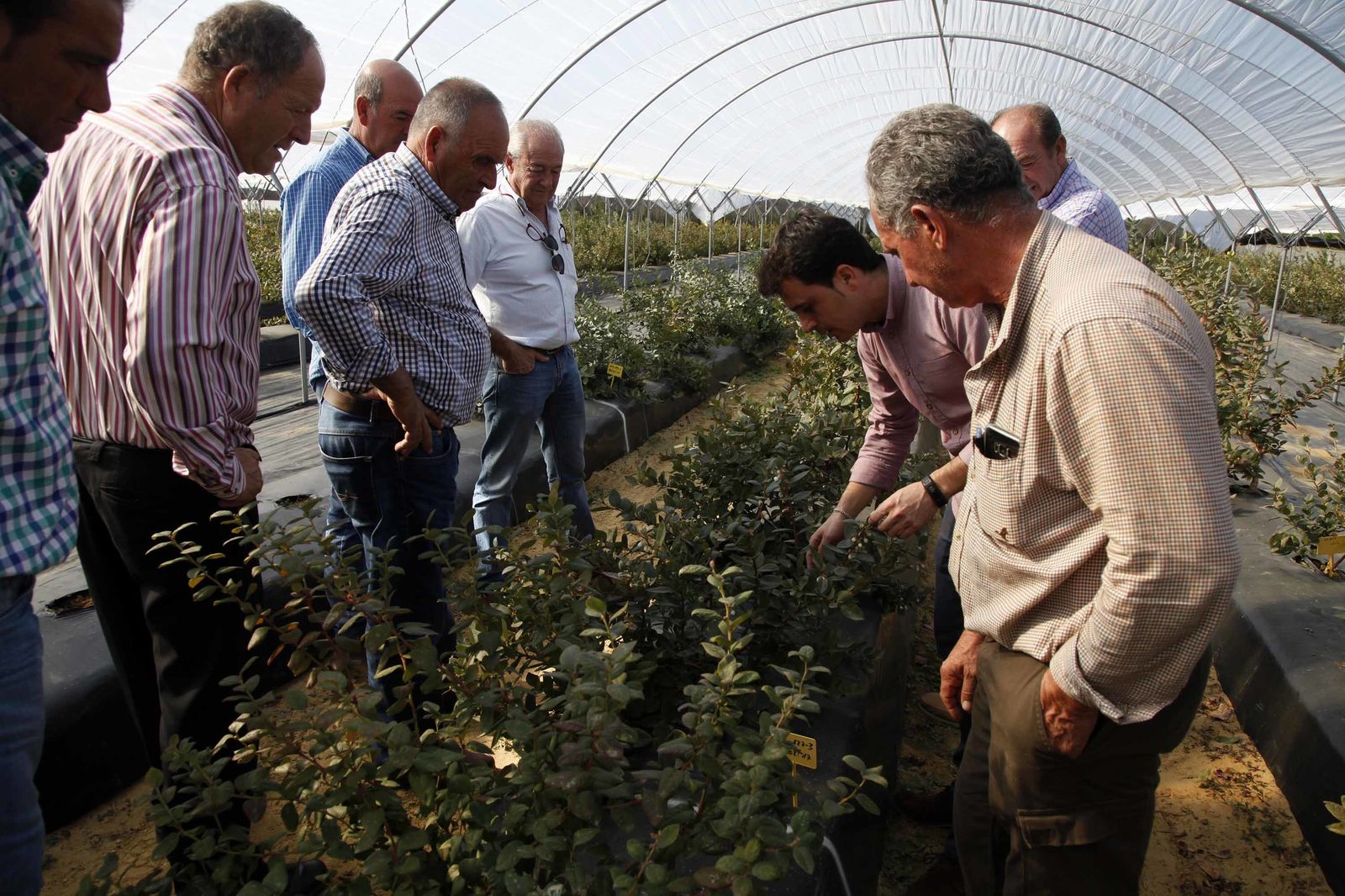 Inauguración de la finca experimental de  Onubafruit