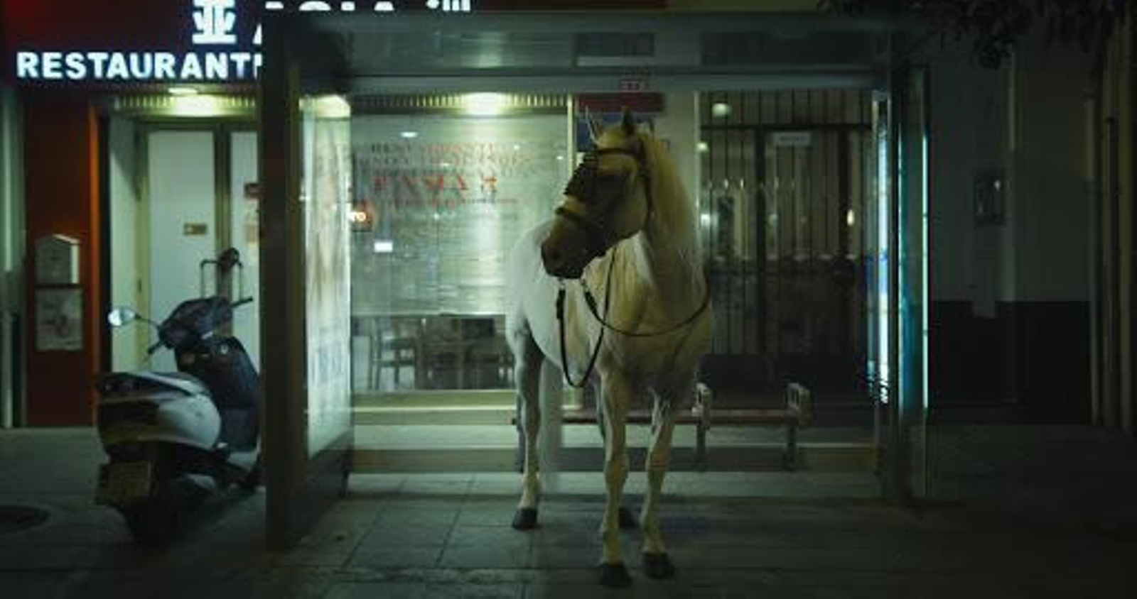 Un caballo blanco esperando el 31, en una imagen de 'Nueve Sevillas'.