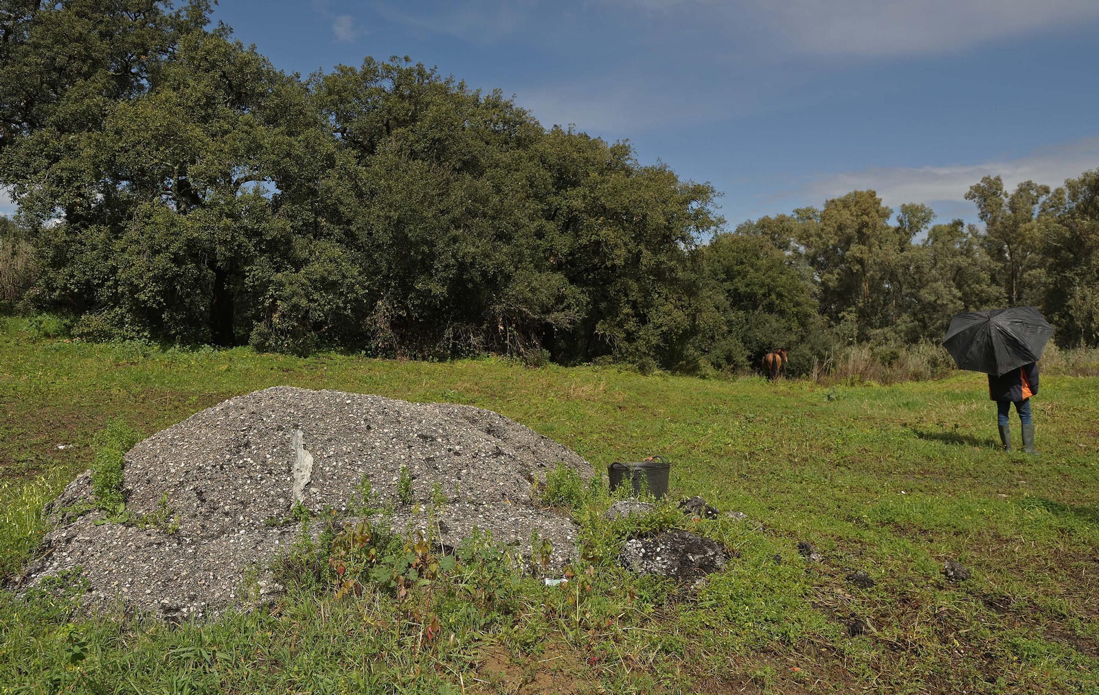 Fotos de los desperfectos e irregularidades en La Menacha