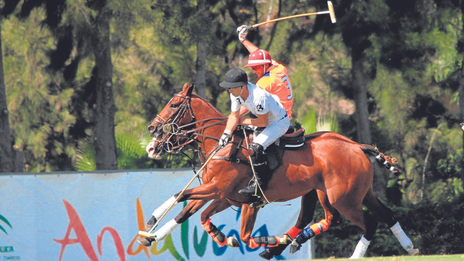 Imagen Torneo Internacional de Polo en Sotogrande.