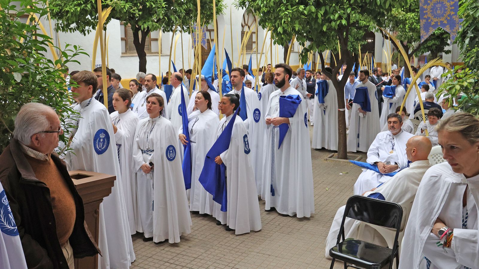 Domingo de Ramos: Hermandad de la Borriquita