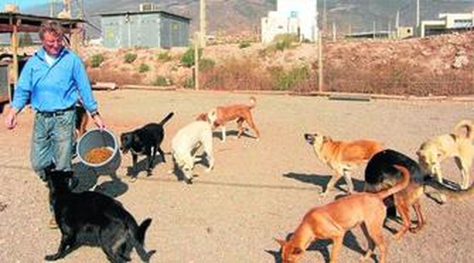 El edil de Salud quiere retomar las relaciones municipales con la protectora de animales de Roquetas que vive una situación difícil.