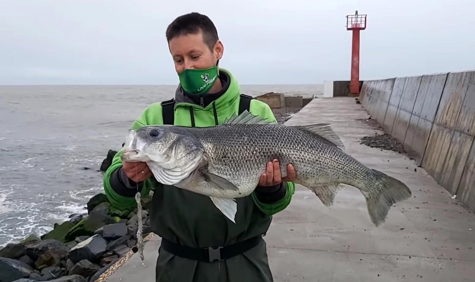 Los espigones son de los mejores lugares para la captura de la lubina, según Antonio Correa