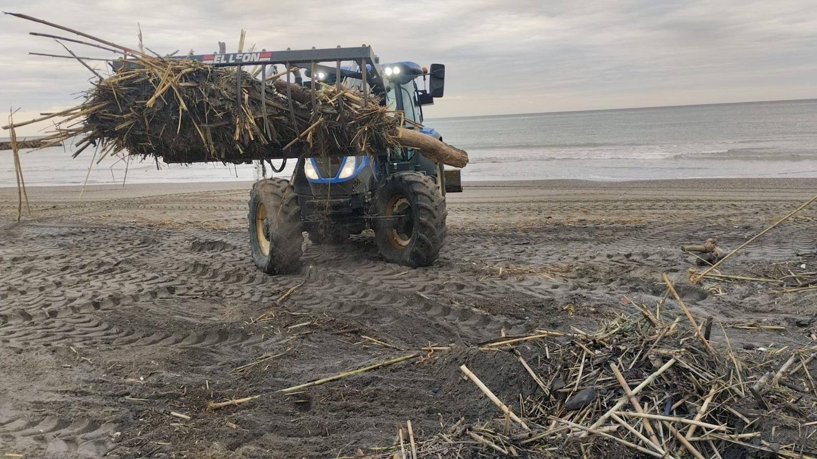 La retirada de cañas en las playas de litoral de Málaga, en imágenes