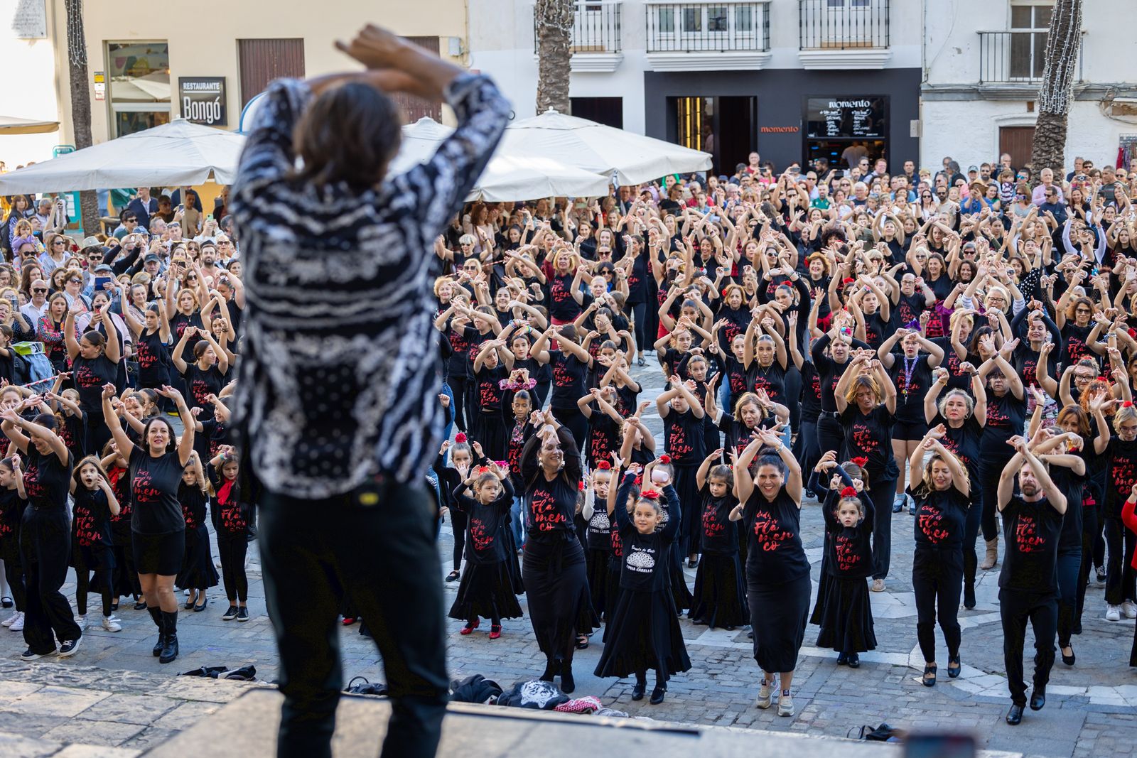 Imágenes del 'flashmob' por el Día del Flamenco en Cádiz