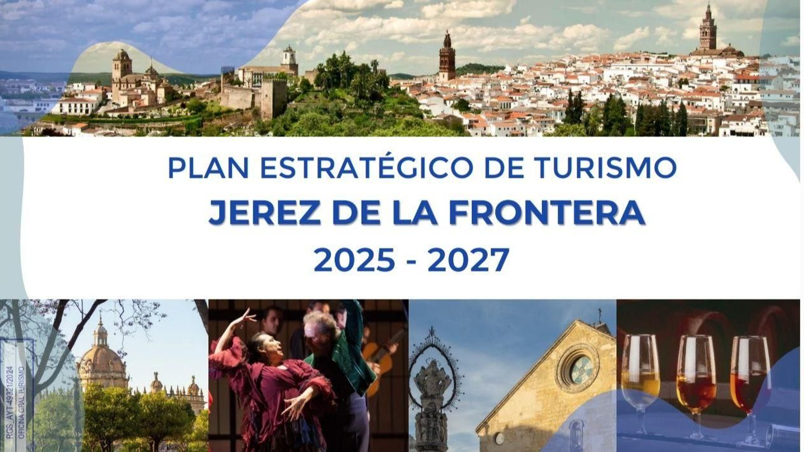 La portada del diagnóstico, con el error en la imagen panorámica.