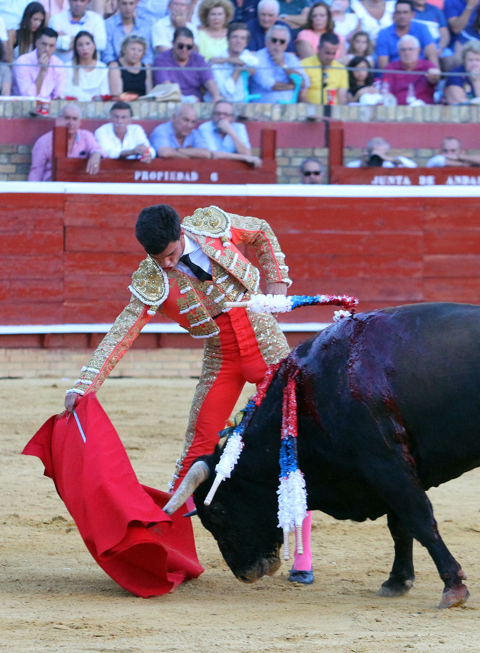 Imágenes de la Novillada de Rafael Serna, Emilio Silvera y Rodrigo Molina.