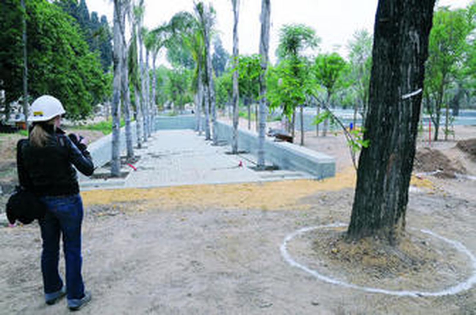 La Junta abre el corazón en obras del Palacio de San Telmo a la oposición