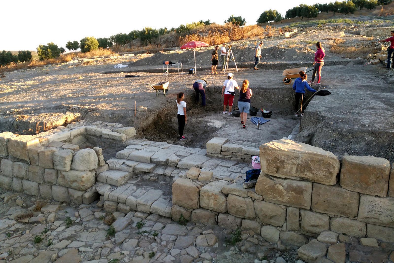 Una de las excavaciones realizadas en la última campaña.