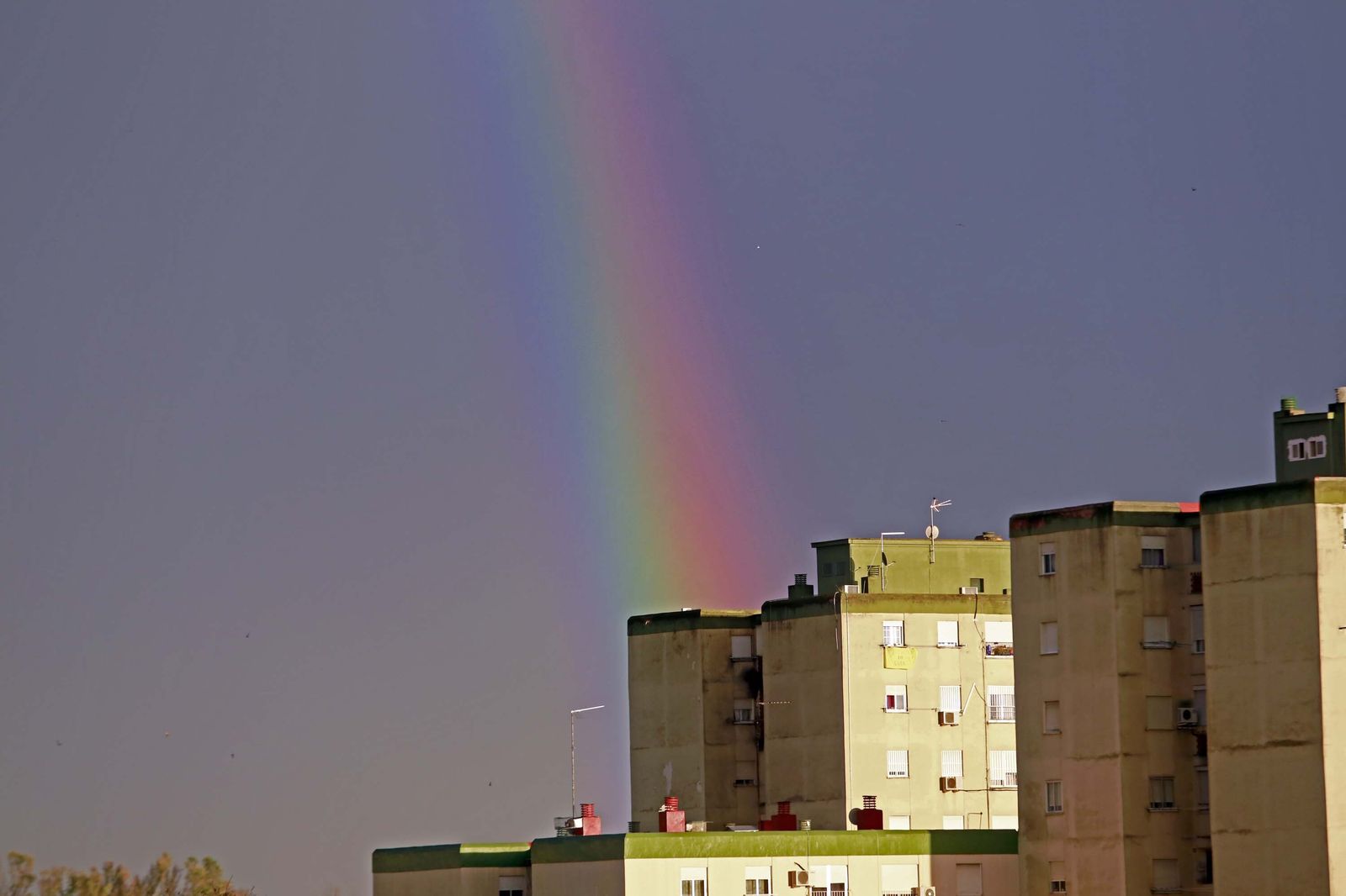 Coronavirus Jerez, imágenes del 21 de abril en Jerez