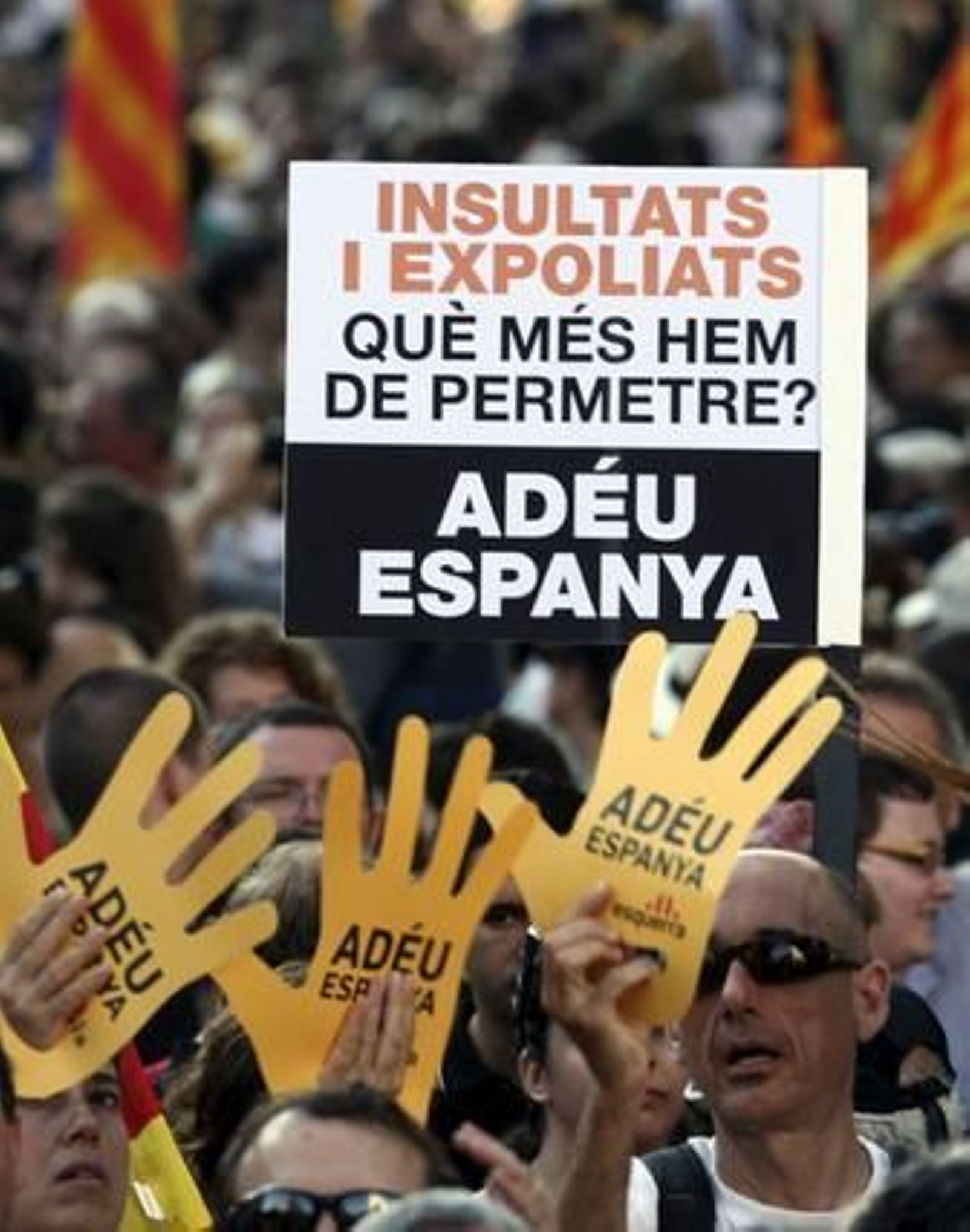 Más de un millón de personas marchan por las calles de Barcelona para protestar contra la sentencia del 'Estatut'. / EFE