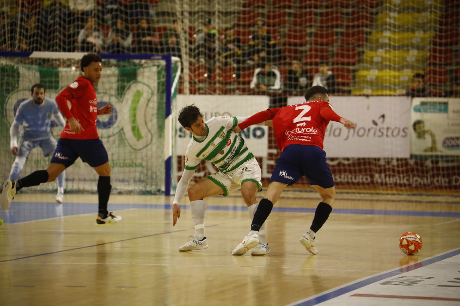 La victoria del Córdoba Futsal ante el Osasuna Magna, en imágenes