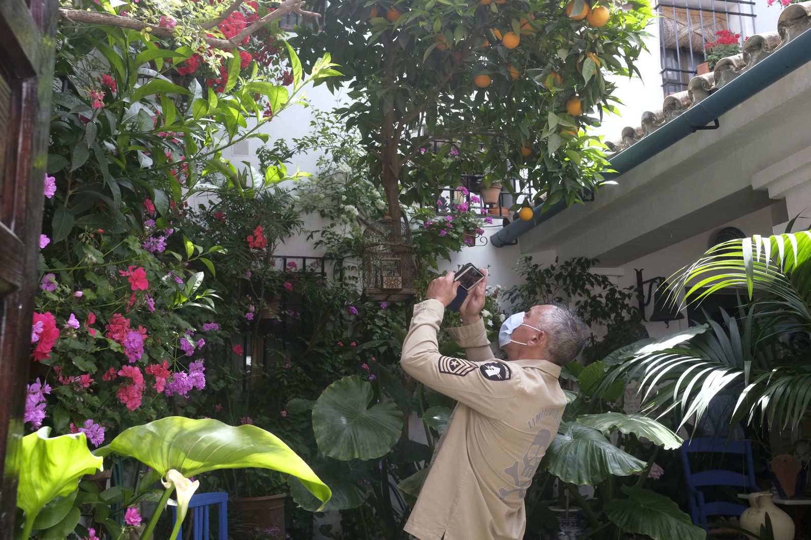 El último día del Festival de los Patios de Córdoba 2022, en imágenes