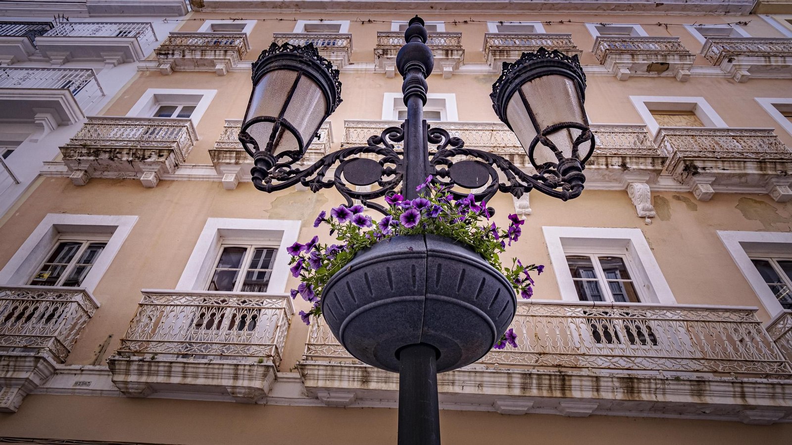 Las imágenes de cómo se prepara la ciudad de Cádiz para la Semana Santa 2025