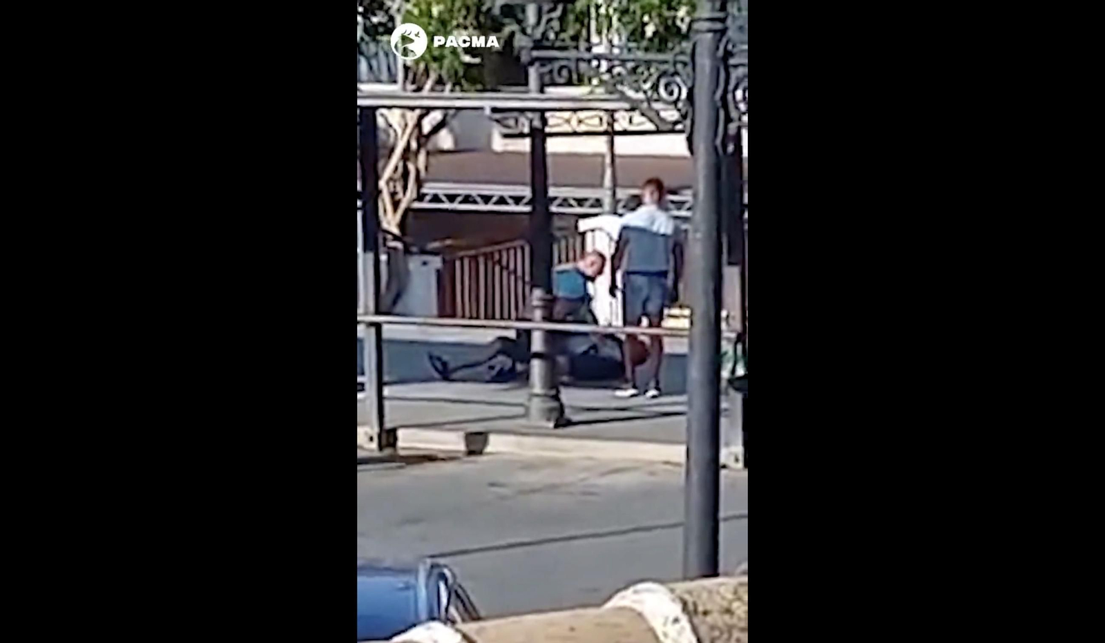 Un momento de la agresión del arriero al turista