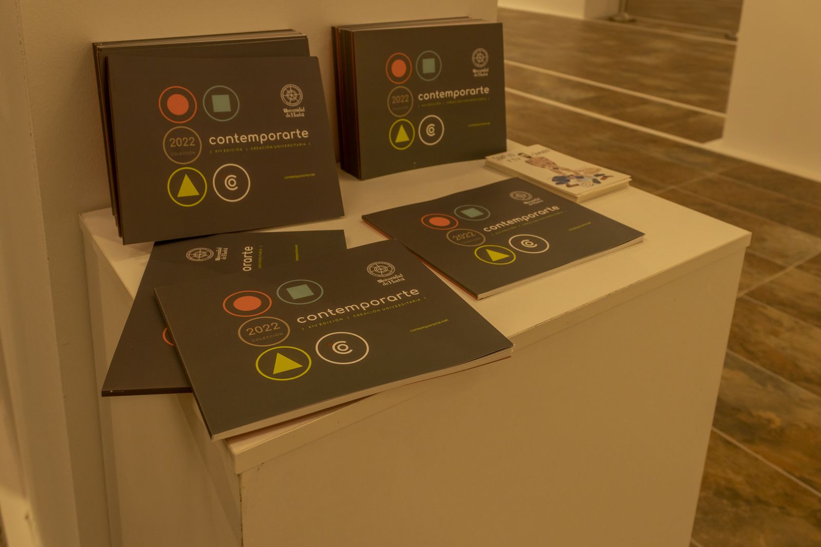 Exposición Contemporarte 2023