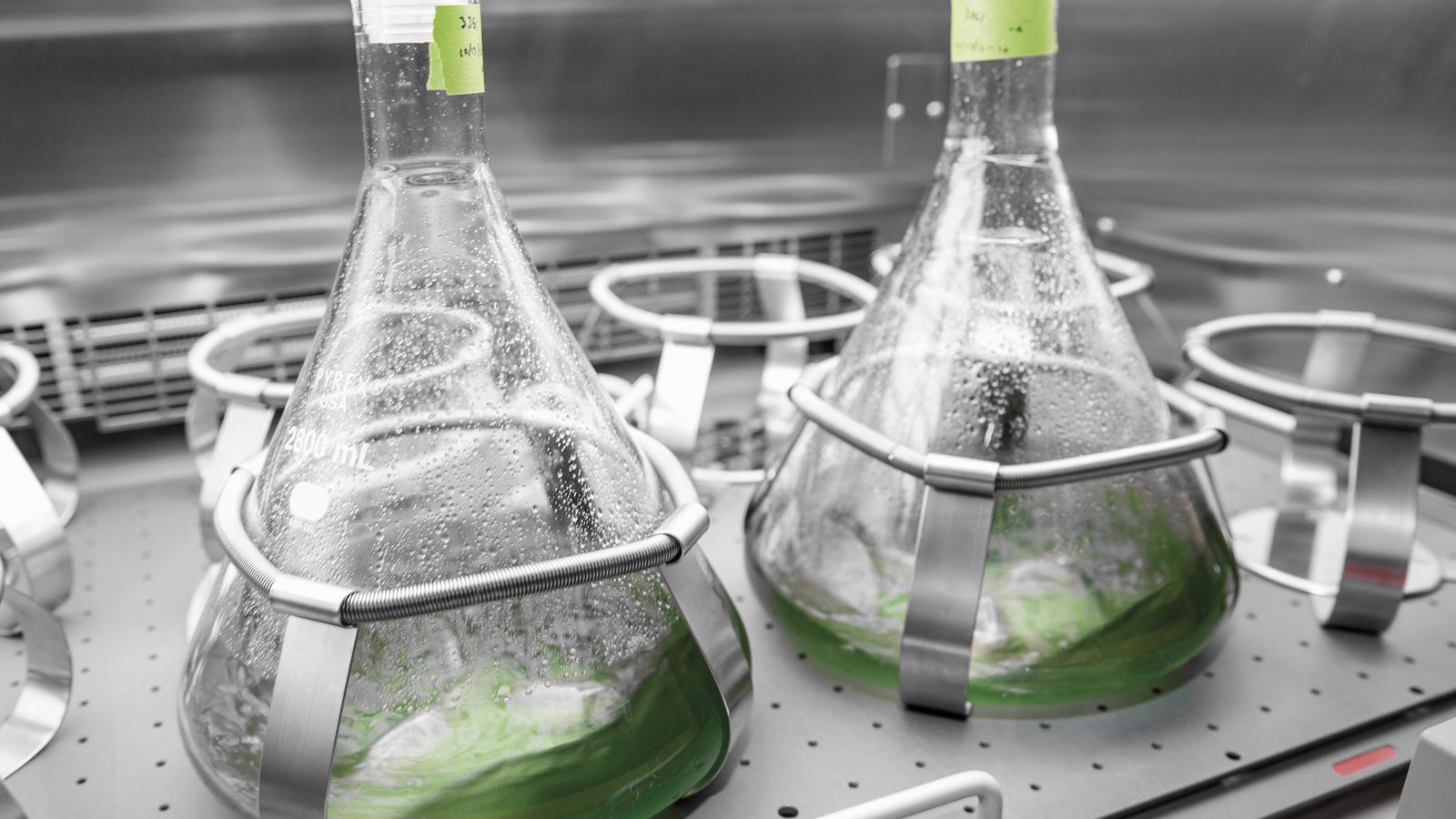 Entre las alternativas que propone Bruselas estaría el empleo de motores térmicos con biocombustibles o carburantes sintéticos.