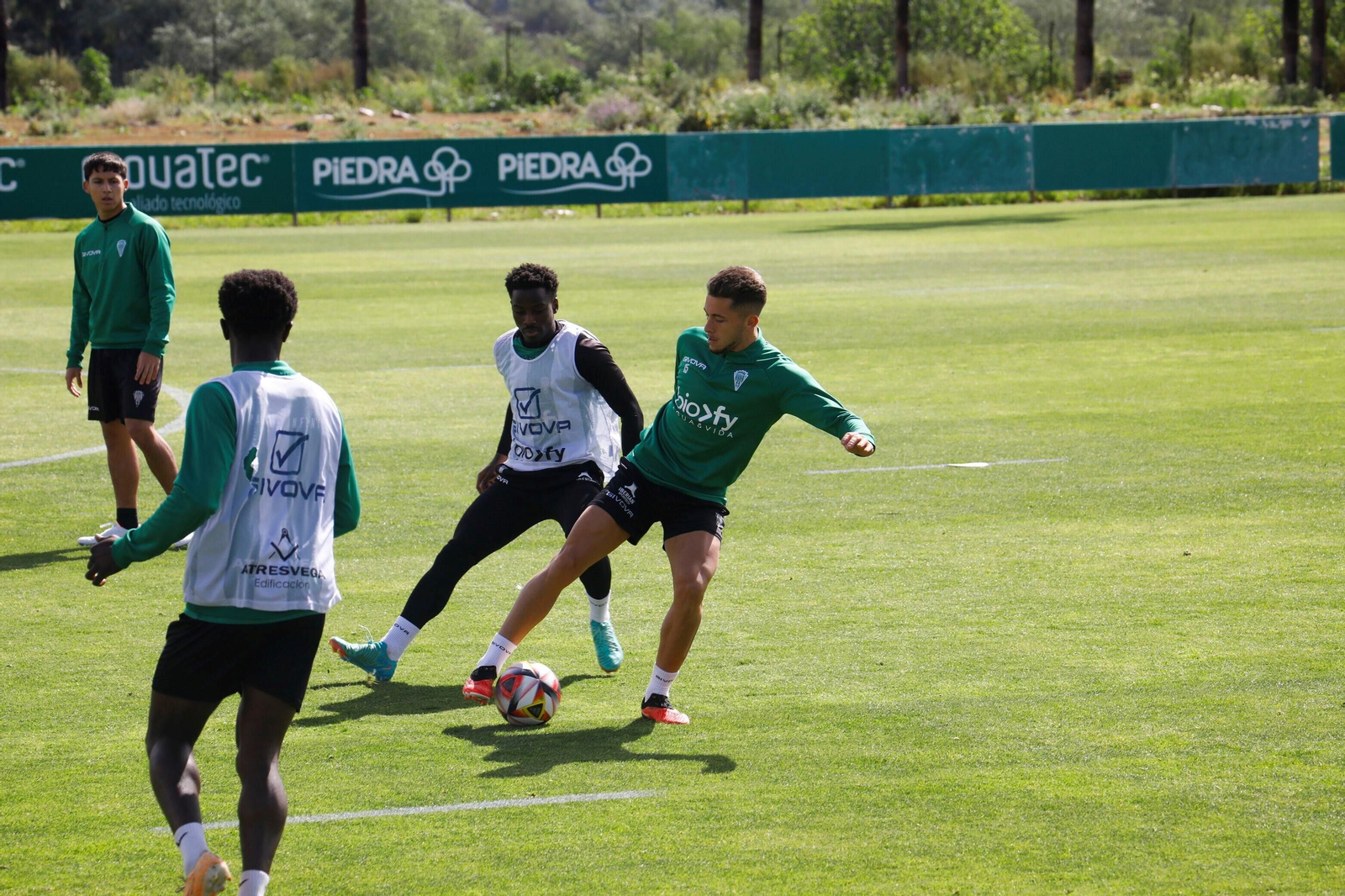 Las mejores fotos de un entrenamiento del Córdoba CF con notable presencia de su afición