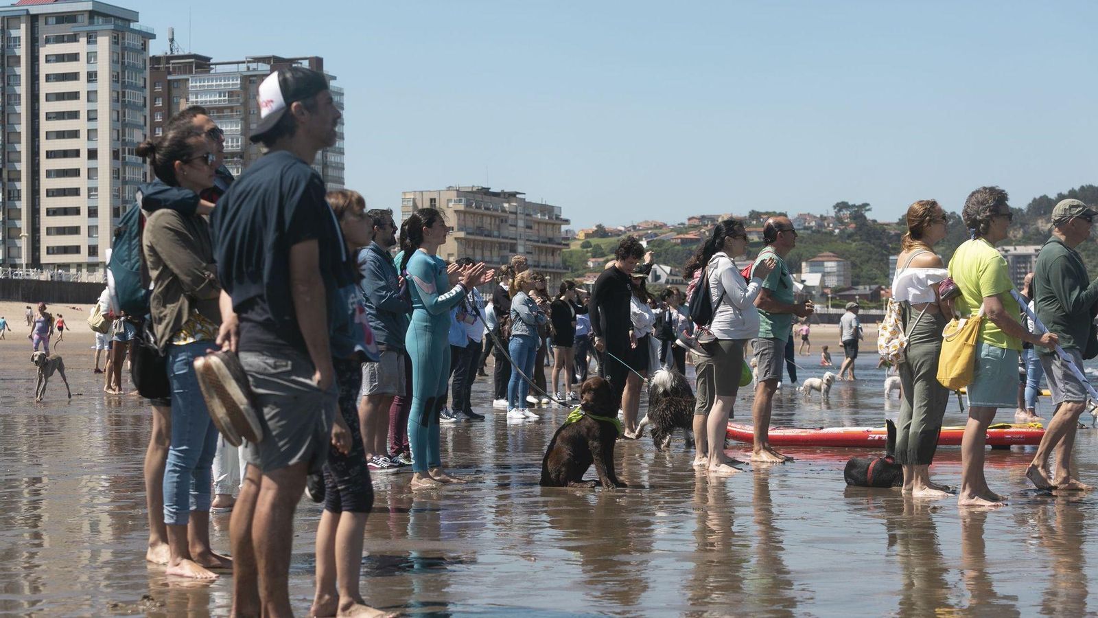 Campeonato de Surf espectadores