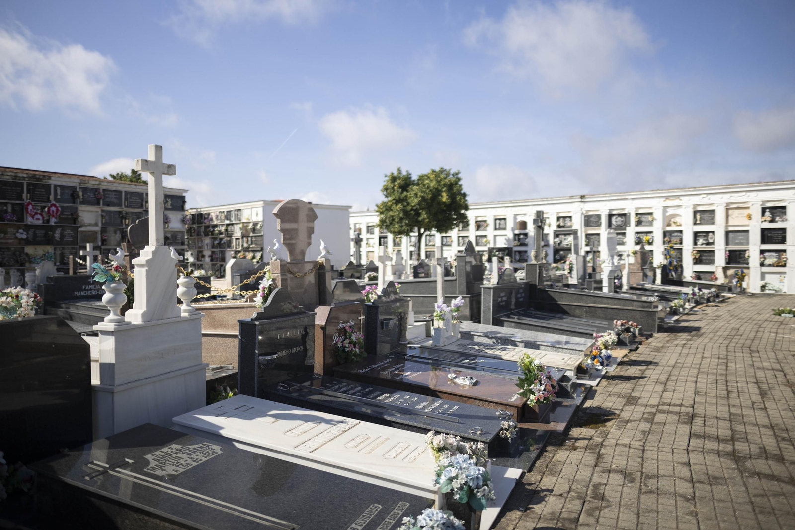 Cementerio de La Soledad. Cementerio de La Soledad.