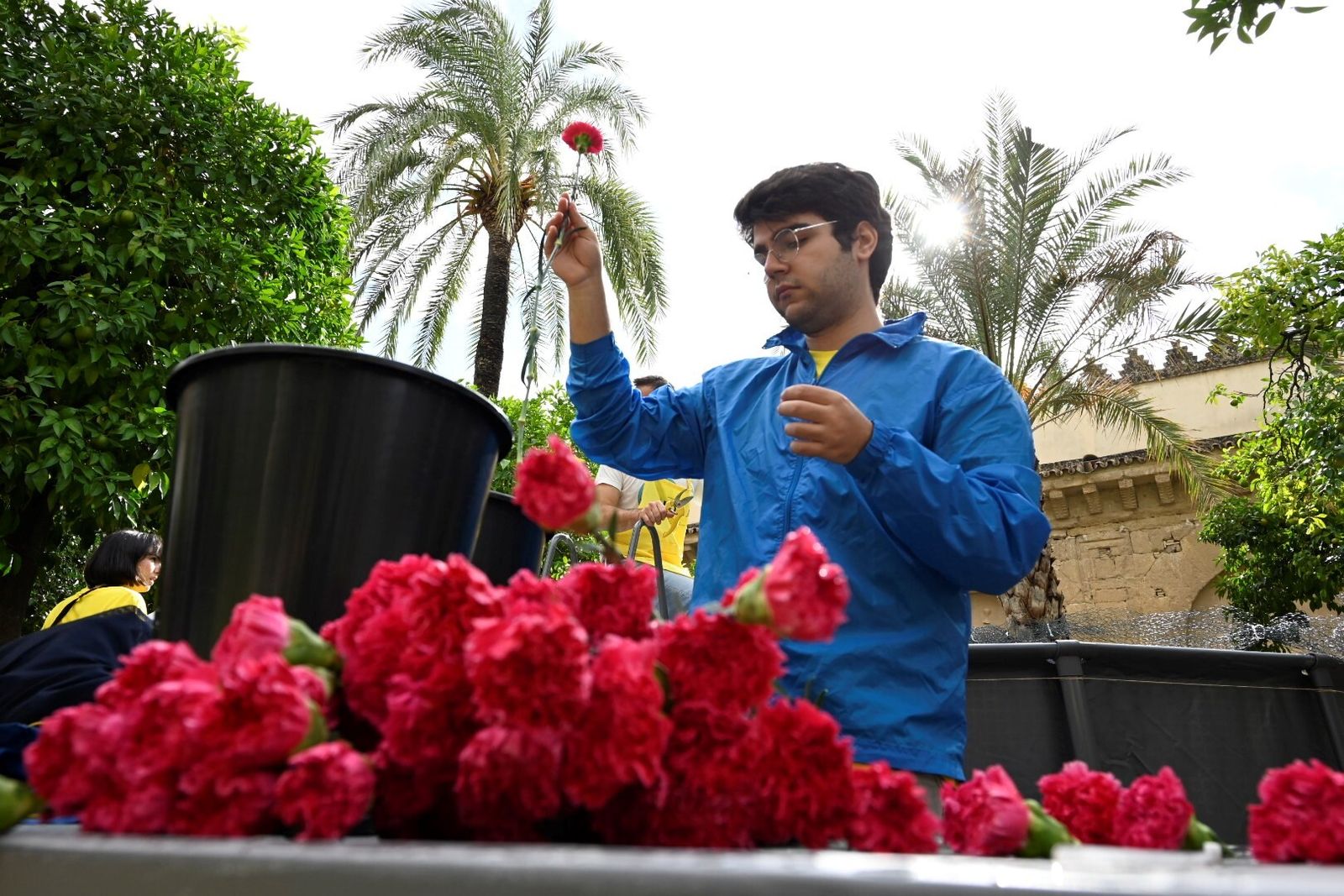 El avance de las creaciones de Flora, en imágenes