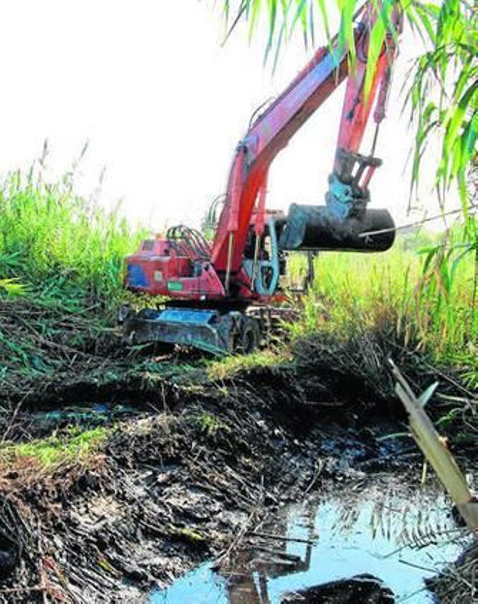 Imagen de archivo de labores de limpieza de la desembocadura del arroyo Cachón.