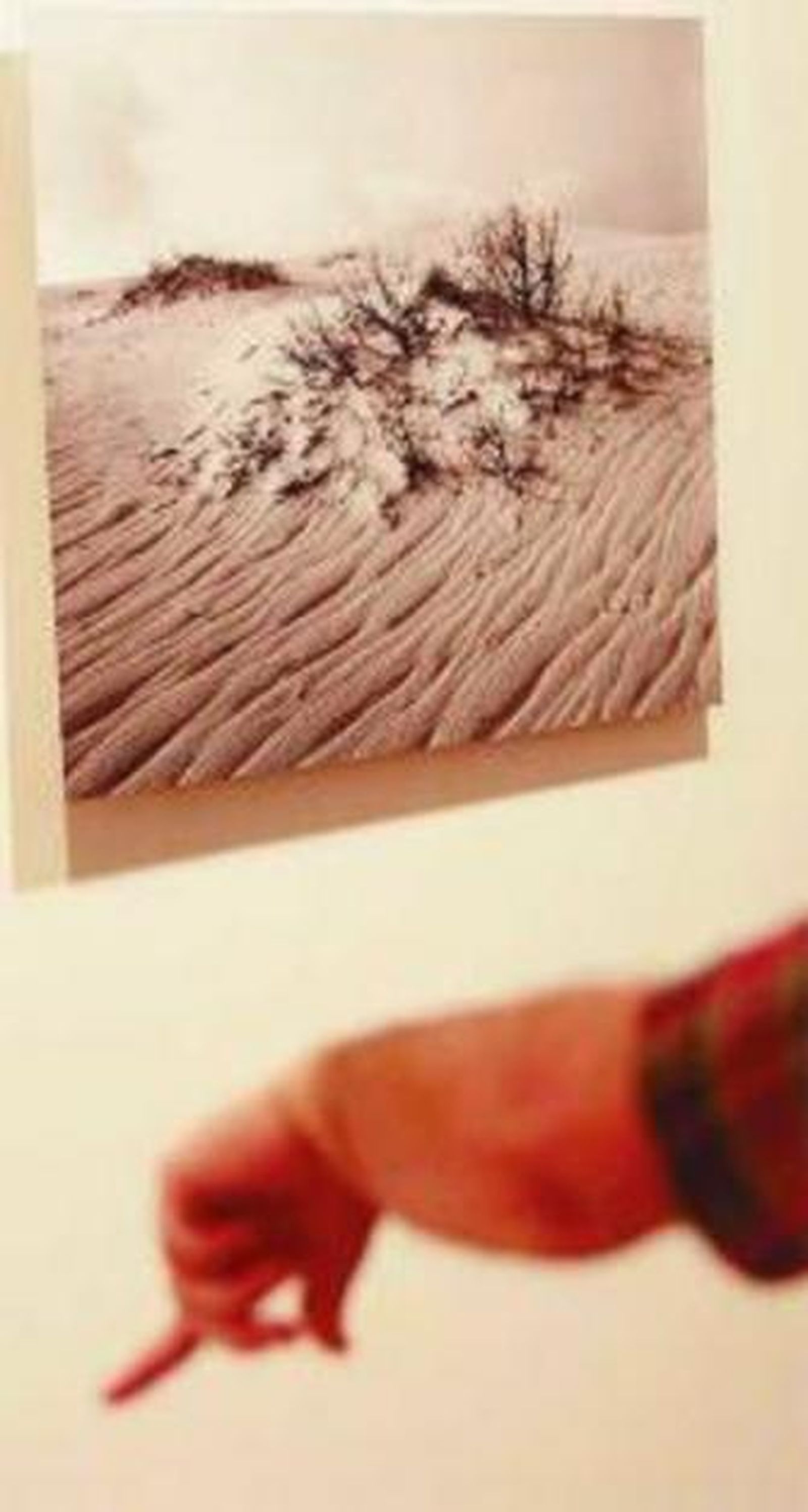 Una de la piezas de la muestra.