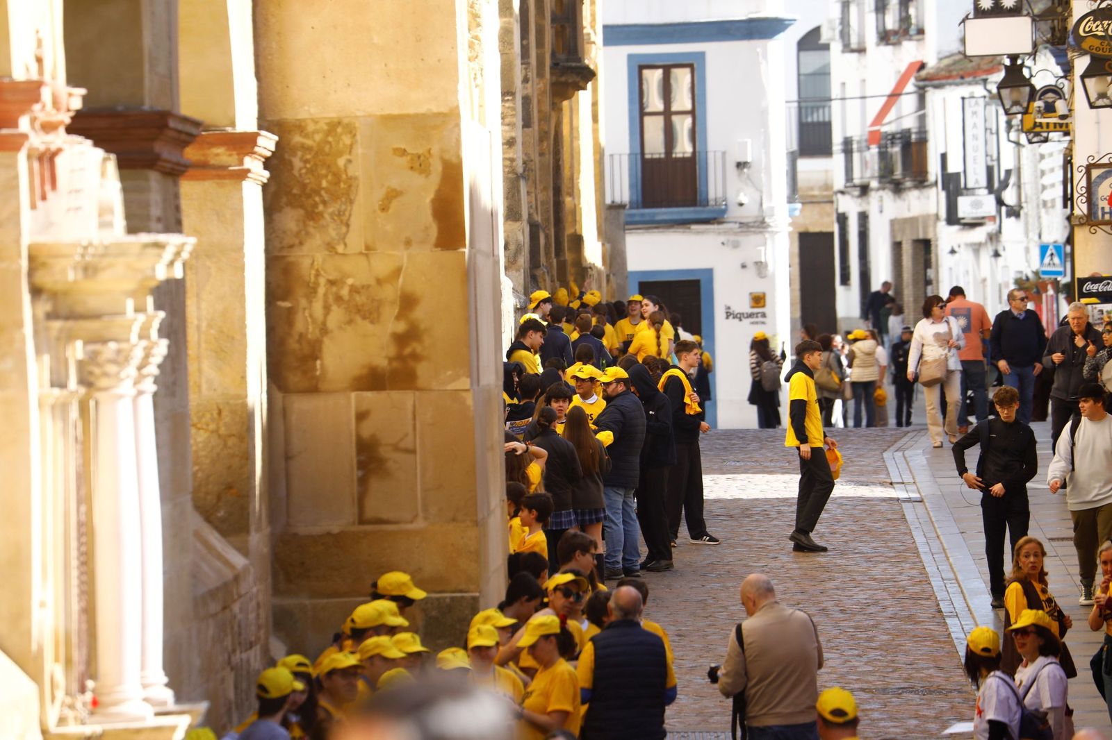Las mejores imágenes del abrazo a la Mezquita-Catedral por las enfermedades raras