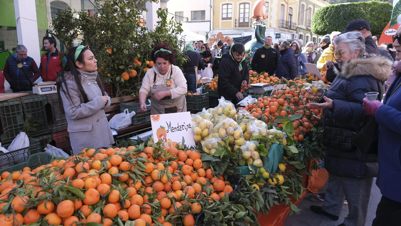 Imágenes del Día de la Naranja, en Gádor