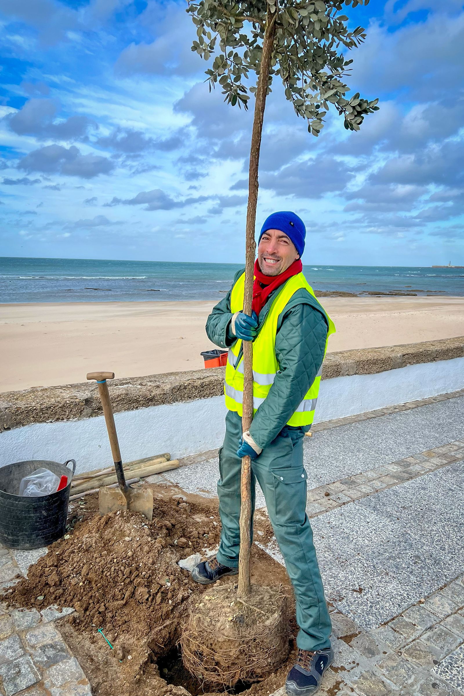 El  estudiante de jardinería, plantando un metrosidero en el Paseo Marítimo.