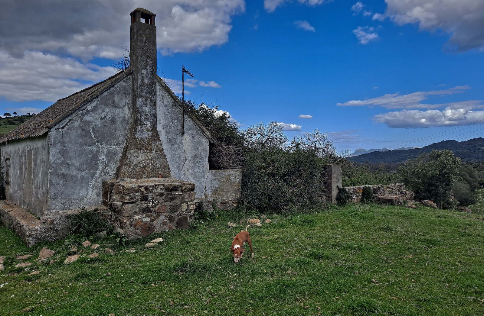 Fotos del sendero de la Garganta de Marchenilla en Algeciras
