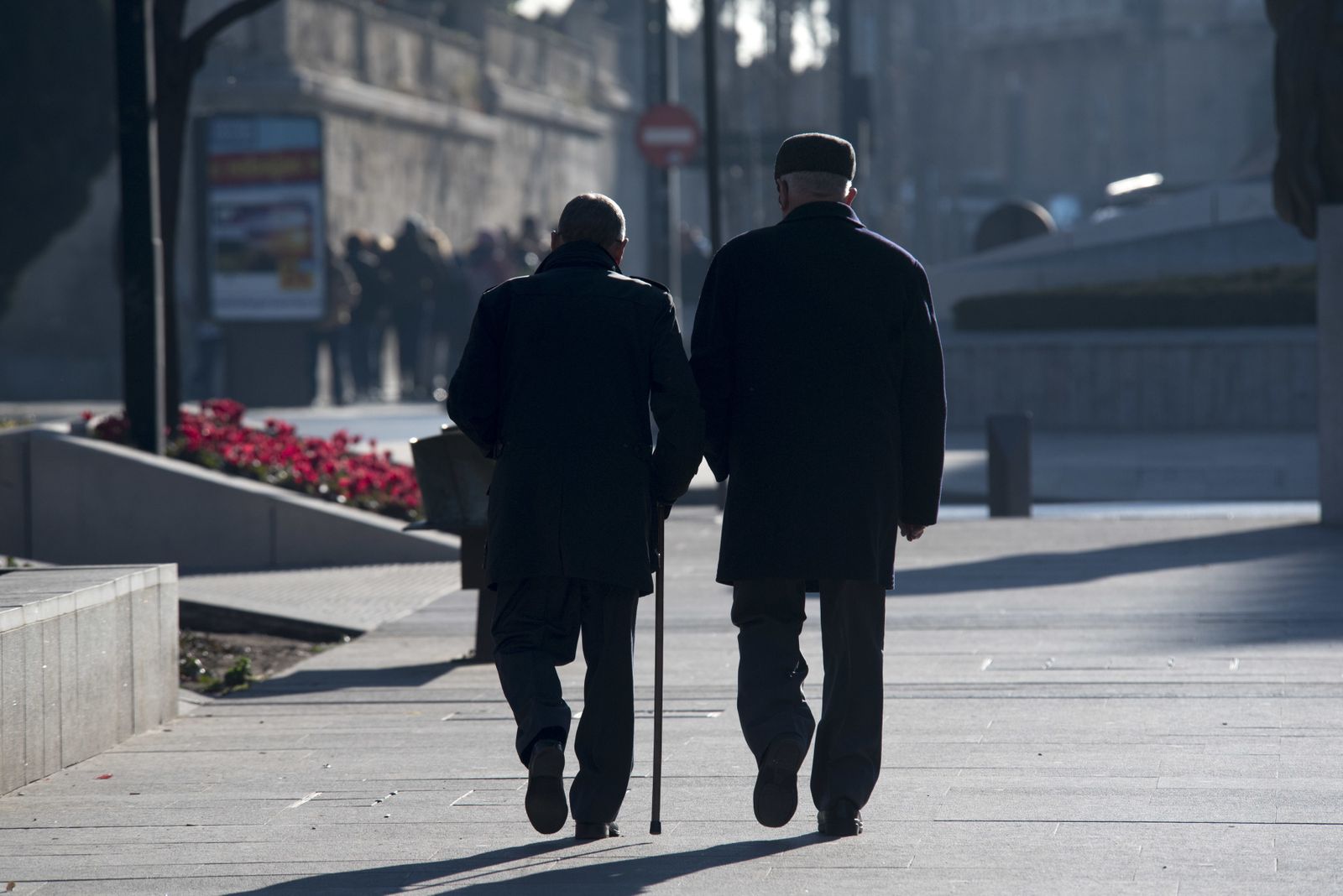 Las imágenes del duro invierno en Granada