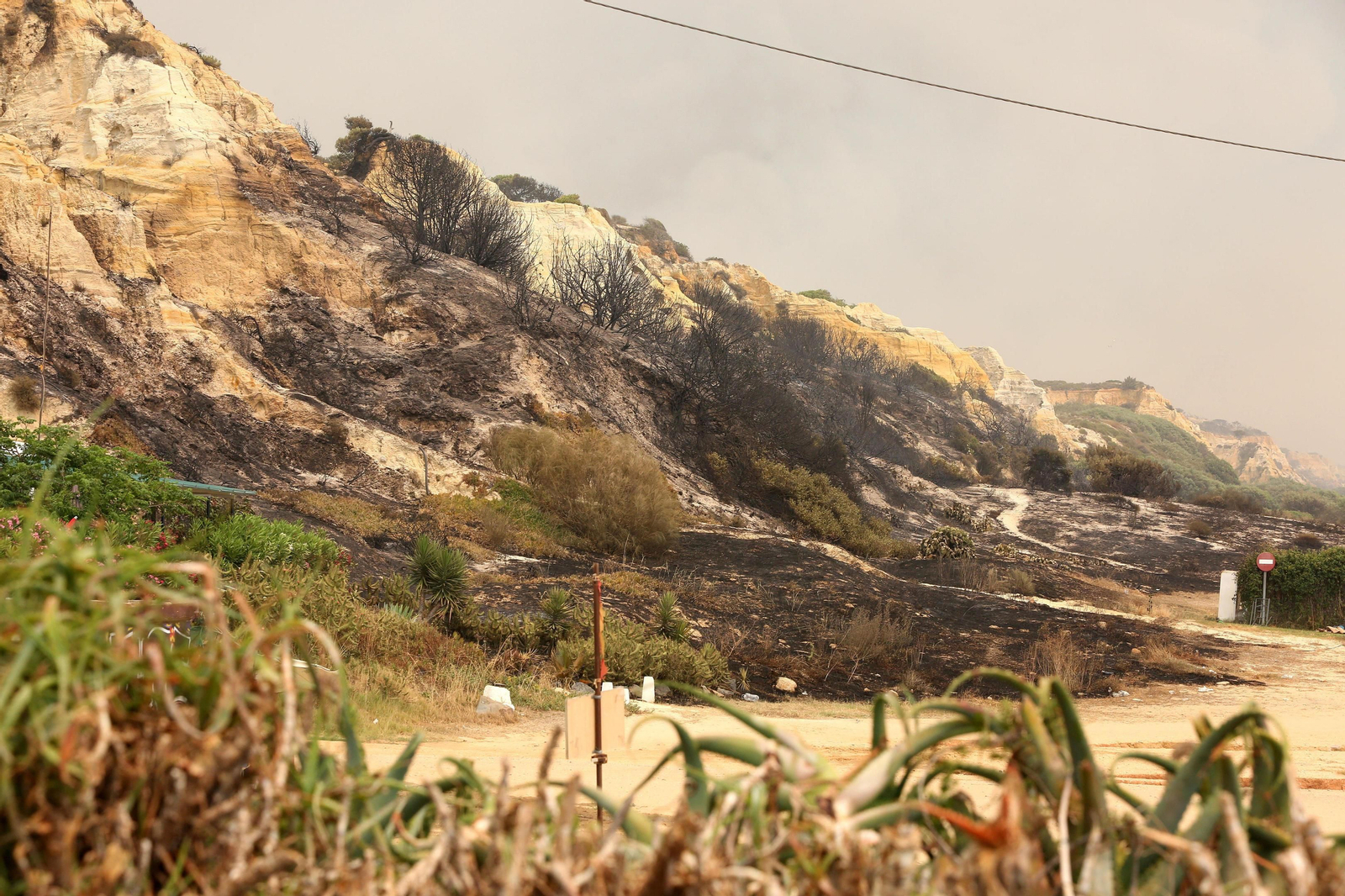 Las consecuencias del incendio en Mazagón