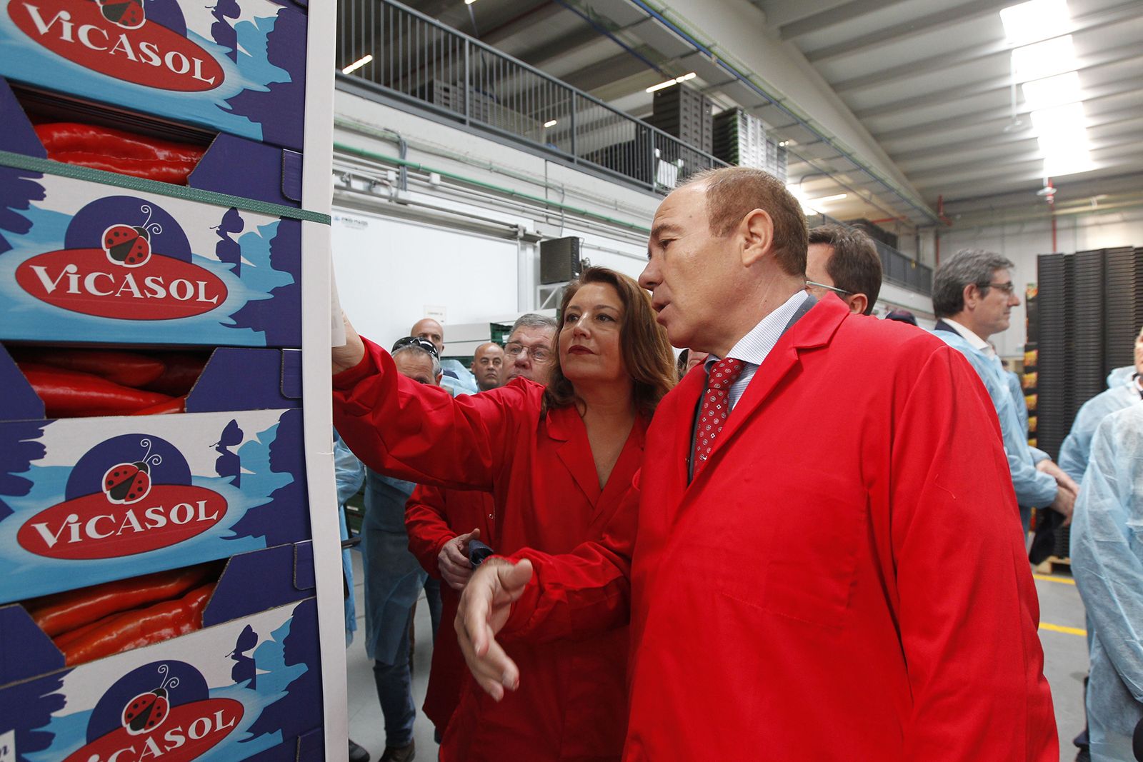 Fotogalería nuevas instalaciones Vicasol 3 en El Ejido